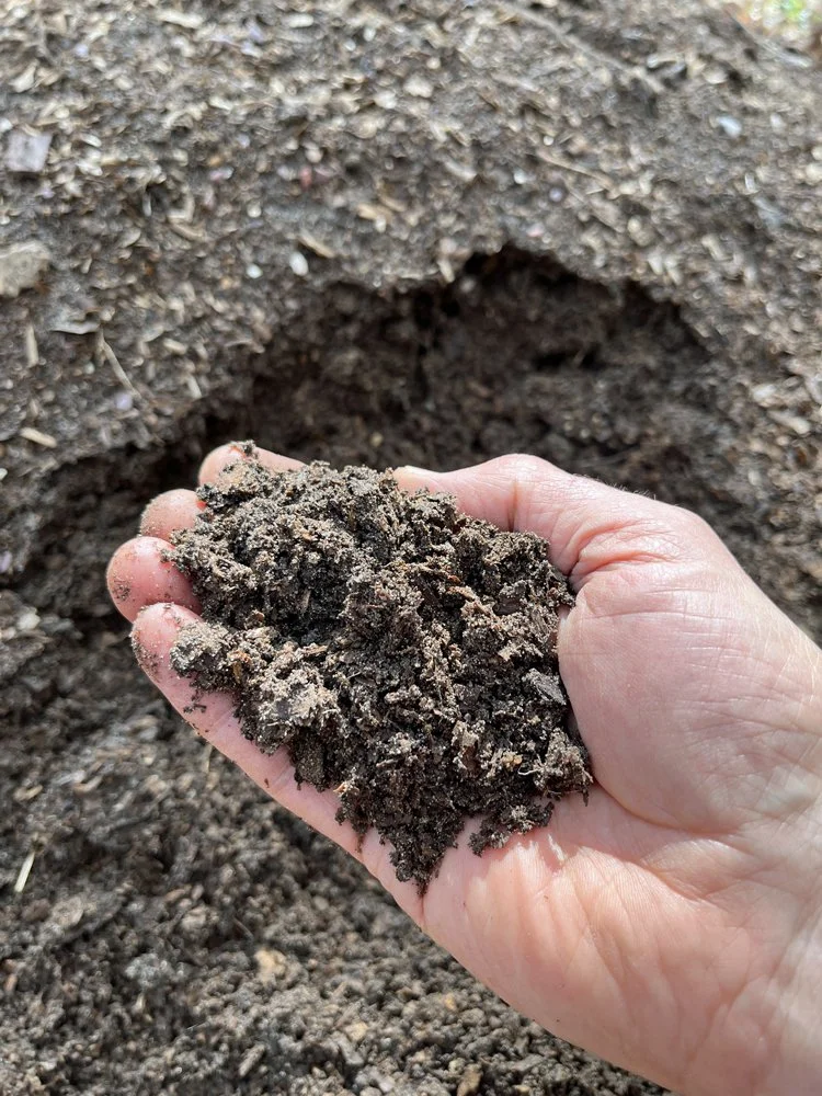 Handful of cured compost